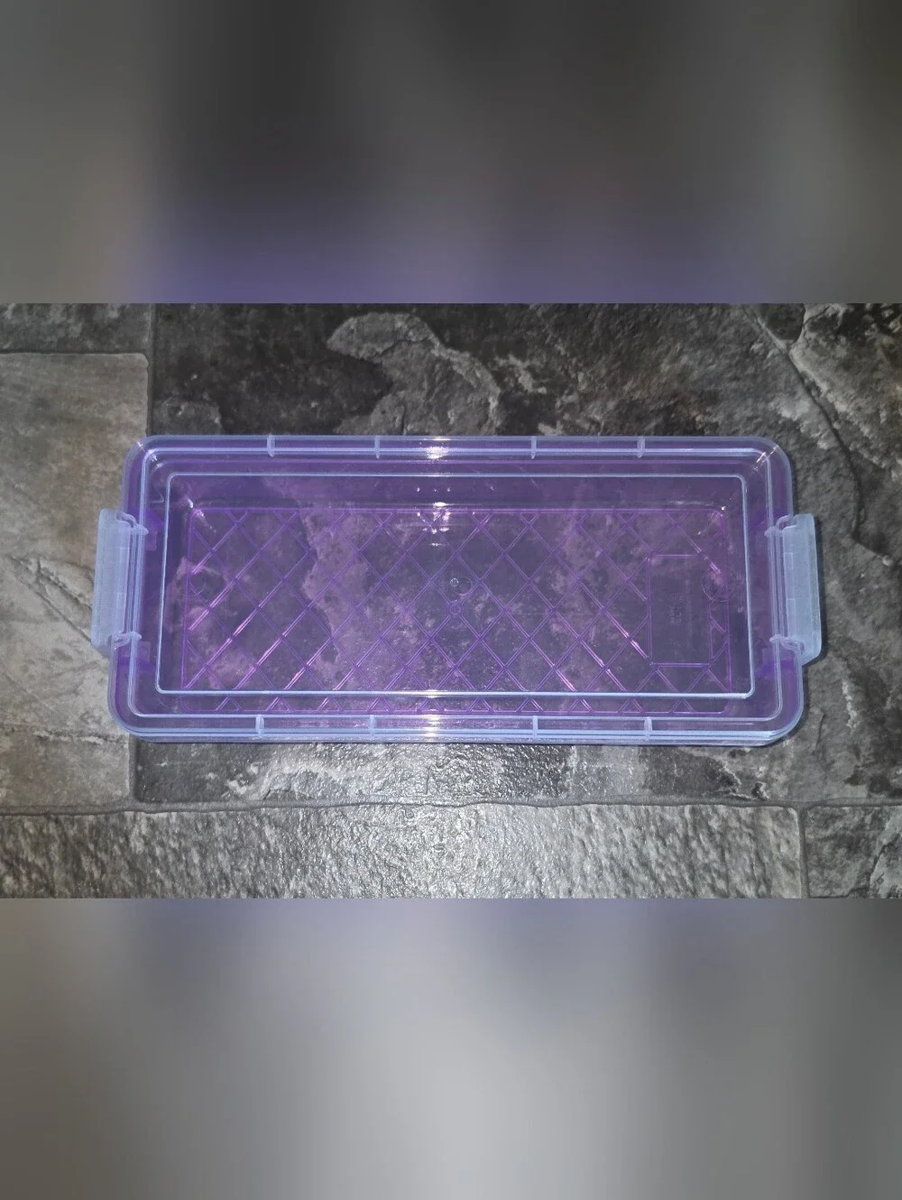 Rectangular Organzer with 2 Lock Containers in Purple BNIB
